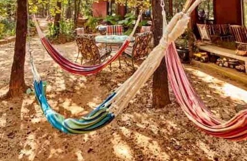 Van Zandt County Cabin | Beautiful Cabin Surrounded by Forest with Amazing Outdoor Amenities for a Peaceful Escape in the Outdoors in Ben Wheeler, Texas