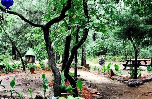 Van Zandt County House | Beautiful Cabin Surrounded by Forest with Amazing Outdoor Amenities for a Peaceful Escape in the Outdoors in Ben Wheeler, Texas