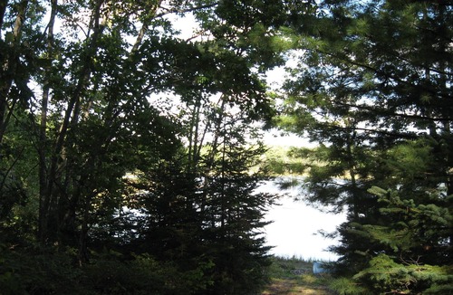 Franklin Cabin | Beautiful secluded property on Taunton Bay - Charming cottage - Pets welcome