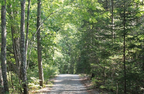 Franklin Cabin | Beautiful secluded property on Taunton Bay - Charming cottage - Pets welcome