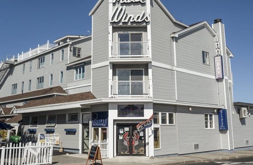 Rockland Apartment | Beautiful studio unit at resort, sleeps 4