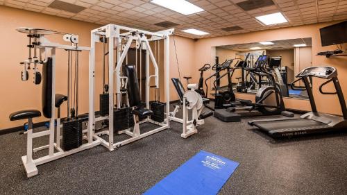 Homer Hotel | Best Western Bidarka Inn