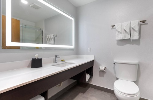 Lewisville Hotel | Best Western Plus Lewisville Flower Mound