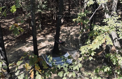 Eufaula Cabin | BIGFOOT’S ENCHANTING TREEHOUSE