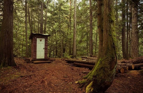 Regional District of Nanaimo Cabin | Broad Axed Rustic Log Cabin w/Cozy Woodstove