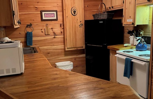 Ellijay Cabin | Budget friendly! Dog friendly ! 2 bdrm, 2 ba log cabin. Hot Tub, wifi !