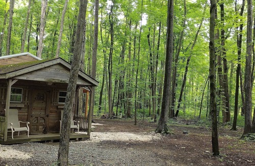 Kinsman Cabin | Cabin in the woods. Minutes to Pymatuning Lake.