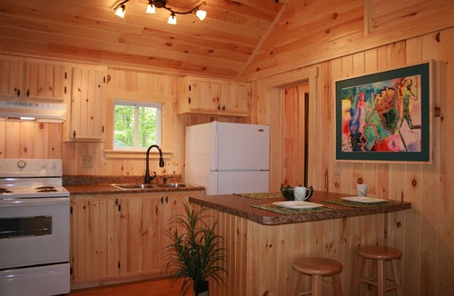 Bar Harbor Cabin | Cabin Tucked inside the Pine trees Cabin 11