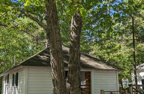 Bar Harbor Cabin | Cabin Tucked inside the Pine trees Cabin 11