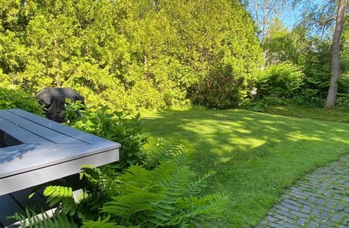 Camden Cabin | CAPTAINS COTTAGE- Town of Camden