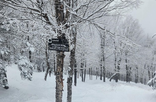 Bethel House | Chandler Hill Base Camp - Enjoy A Nature Getaway In This Rustic Home In The Mountains, 10 Minutes From Sunday River Ski Mountain! 4 Bedroom Home by RedAwning