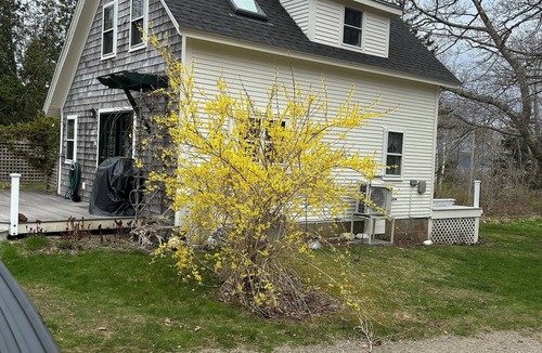 Islesboro House | Charming 2-bedroom house with WiFi on marvelous Islesboro