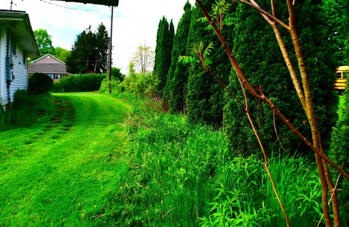 Grove City House | Charming Country Rustic home with upgraded amenities on a full acre.
