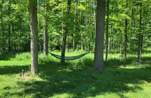 Hudson House | Charming Historical Hudson Retreat on almost 4 acres! Wildlife views daily!