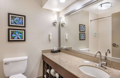 Conway Hotel | Comfort Inn & Suites Conway