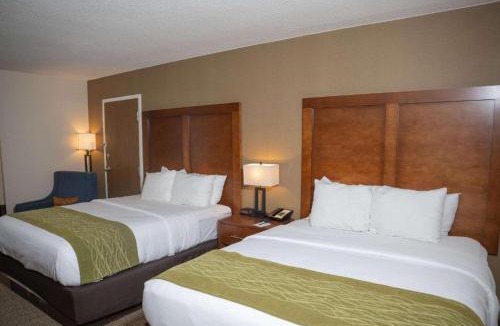 Erie Hotel | Comfort Inn & Suites Erie - Splash Lagoon Indoor Waterpark