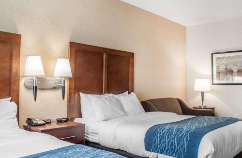 Hamburg Hotel | Comfort Inn & Suites Hamburg - Buffalo South