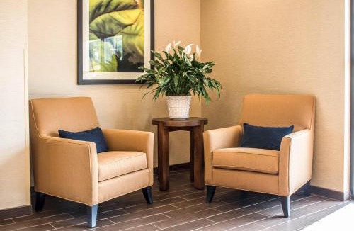 Hartville Hotel | Comfort Suites Hartville-North Canton