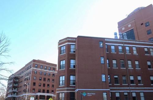 Bloomfield Apartment | Comfortable Apartment – Pittsburgh's Little Italy!