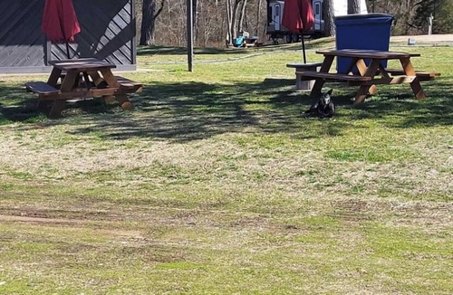 Scraper Cabin | Comfy Cabin golf, fish, Illinois river, ATV, Kayak