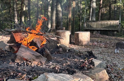 Reliance Cabin | Cozy 1-bedroom cabin in peaceful Reliance with AC