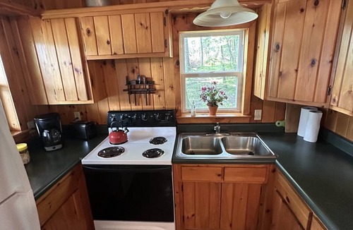 Jerome Cabin | Cozy 2-bedroom cabin on Goose Lake in beautiful Southern Michigan.