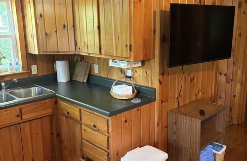 Jerome Cabin | Cozy 2-bedroom cabin on Goose Lake in beautiful Southern Michigan.