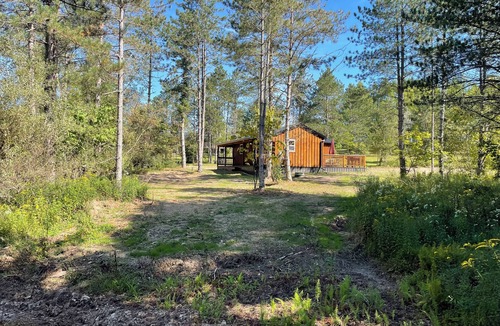 Benezette Cabin | Cozy 2-bedroom cabin in charming Benezette, just 1 mile from visitors center.