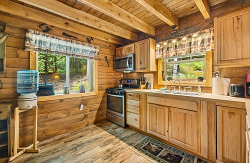 Clarington Cabin | Cozy Bear Cabin in Cook Forest 2 miles from the Clarion River!