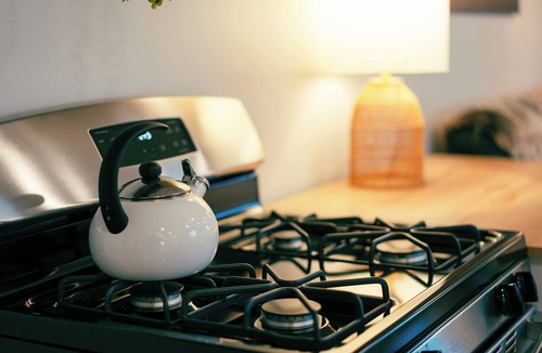 Conneaut Lakeshore Apartment | COZY, BEAUTIFUL APARTMENT AT AVANTI COVE