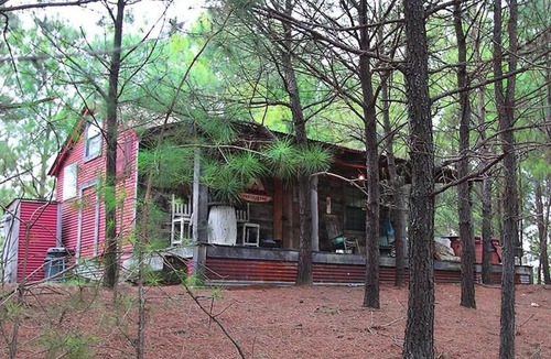 Eustace Cabin | Cozy Cabin in the woods at Bluegill Lake Cabins
