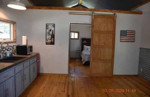 Canton Cabin | Cozy Canton Cottage + Cabin - 2 separate houses on same property. Sleeps 12