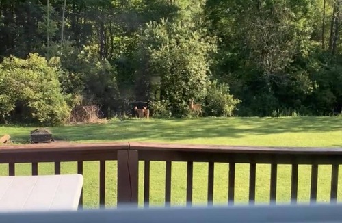 Westford House | Cozy Lake House near Pymatuning Lake