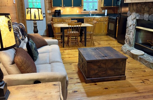 Blairsville Cabin | Cozy Romantic Cabin for 2 - Private Hot tub, gas fireplace, wooded, king log bed