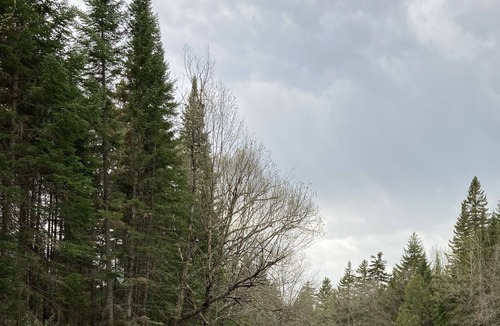 Pittsburg Cabin | Cozy Rustic Cabin in the Heart of Pittsburg w/ Trail Access