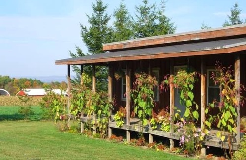 Penn Yan Cabin | Cozy, rustic cabin with beautiful views, privacy, and 1 mile from Keuka Lake