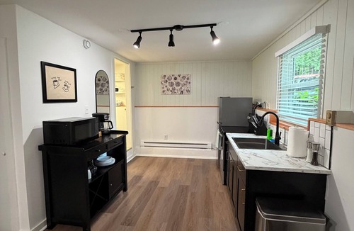 Gansevoort Apartment | Cozy Saratoga Studio Retreat - Travel Nurses, Traveling professionals, Students