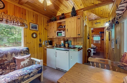 Naples Cabin | Cozy wooded cabin with lake access, firepit & kitchenette