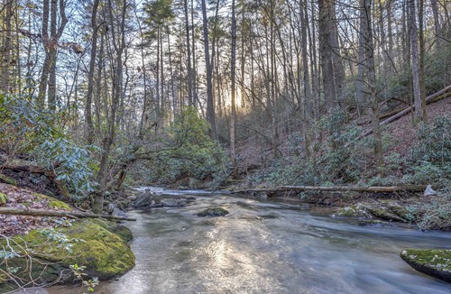 Cleveland Cabin | Creekside Oasis - Secluded Cabin in the Mountains on Swift Moving Creek