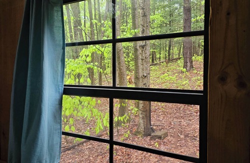 Etna Cabin | Cub Cabin: Charming cabin with WiFi in Freeville - perfect for a cozy getaway