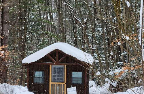 Etna Cabin | Cub Cabin: Charming cabin with WiFi in Freeville - perfect for a cozy getaway
