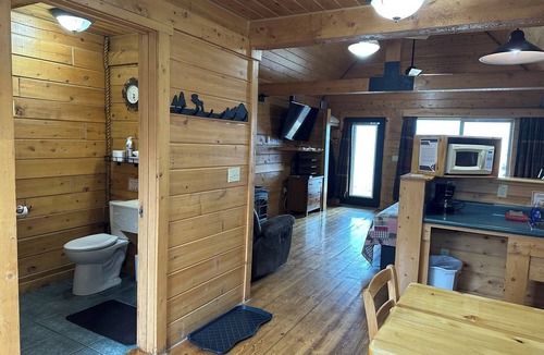 Homer Cabin | Dall Cabin - Cozy retreat with bay views, a shared hot tub, and fire pit!