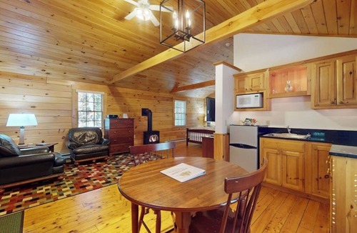 Northport Cabin | Delightful dog-friendly studio cabin with fireplace, AC & nearby hiking