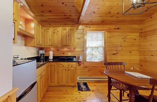 Northport Cabin | Delightful dog-friendly studio cabin with fireplace, AC & nearby hiking