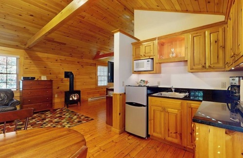 Northport Cabin | Delightful dog-friendly studio cabin with fireplace, AC & nearby hiking