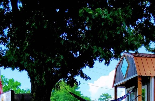 Disney Cabin | Disney’s Off Road Park and Grand Lake