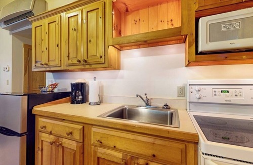 Northport Cabin | Dog-friendly cabin with wooded views, fireplace, AC near outdoor recreation
