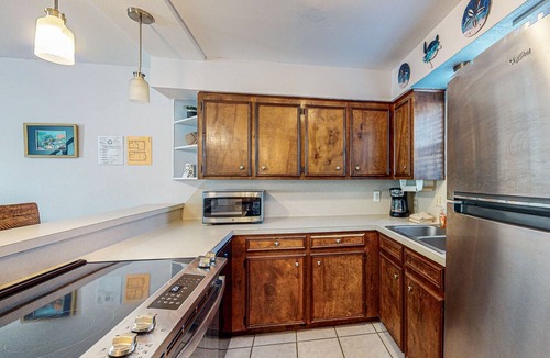 Corpus Christi Condo | Dog-friendly condo with WiFi - minutes from beach