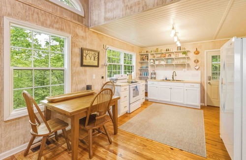 Screamer Mountain Cabin | Dog-friendly steps to Warwoman Dell in the Chattahoochee National Forest