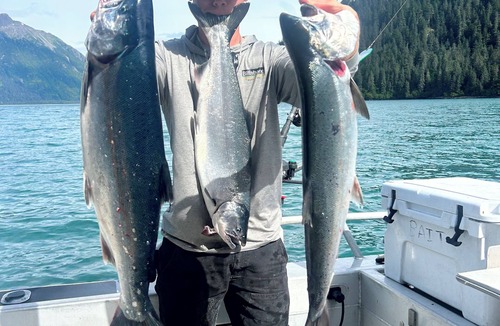 Seward Cabin | Ellsworth Glacier View Cabin #2 Oceanfront Remote Cabin located in Day Harbor